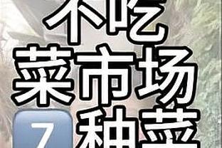 开云电竞app官网